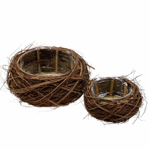 Floristik24 Cesto de plantas e galhos naturais Ø37 / 28cm, conjunto de 2