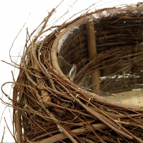Floristik24 Cesto de plantas e galhos naturais Ø37 / 28cm, conjunto de 2