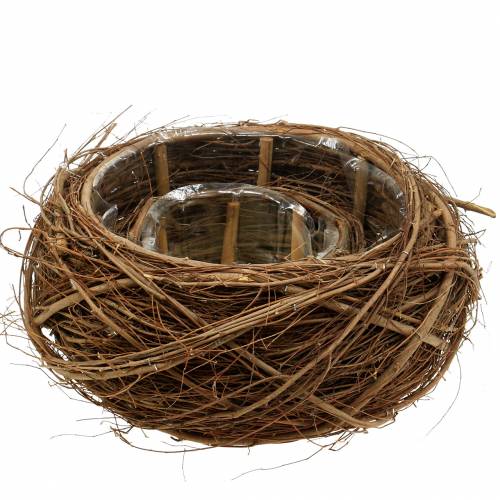 Floristik24 Cesto de plantas e galhos naturais Ø37 / 28cm, conjunto de 2