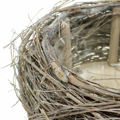 Floristik24 Cesto de plantas e ramos lavados a branco Ø37/28cm conjunto de 2