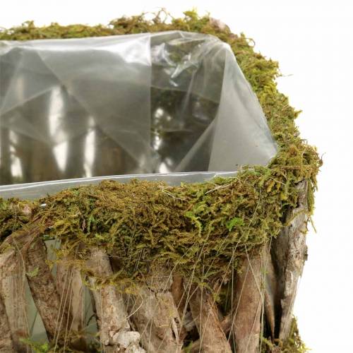 Floristik24 Cesta de plantas musgo quadrado, casca de 34 × 15,5 / 24,5 × 11 cm, conjunto de 2