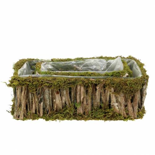 Floristik24 Cesta de plantas musgo quadrado, casca de 34 × 15,5 / 24,5 × 11 cm, conjunto de 2
