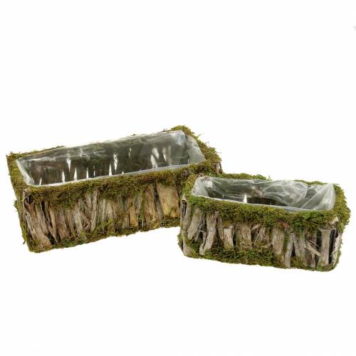 Itens Cesta de plantas musgo quadrado, casca de 34 × 15,5 / 24,5 × 11 cm, conjunto de 2