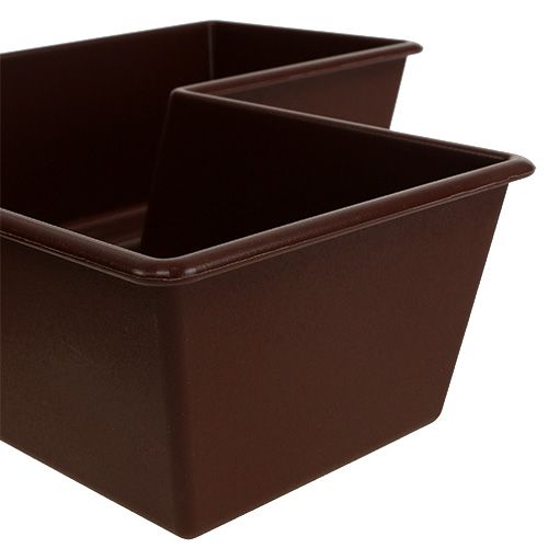 Floristik24 Planta Cruz Marrom 38cm x 50cm, 1Pc