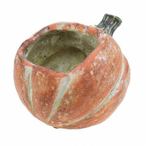 Abóbora para plantar Laranja 19×15×16cm