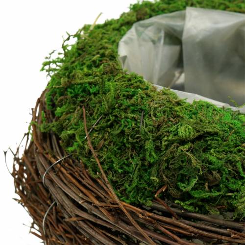 Tigela para plantas em vime, musgo Ø16cm H11cm