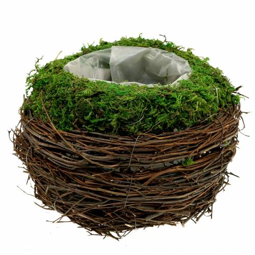 Floristik24 Vasilha para plantador de rattan, musgo Ø19cm Alt.13cm