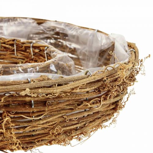 Floristik24 Anel de videira, tigela de planta Ø35/30cm conjunto de 2