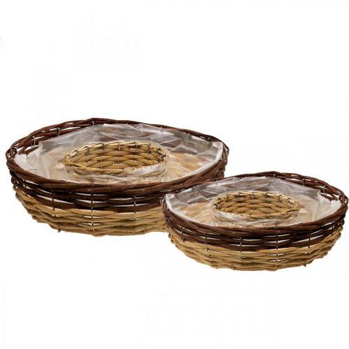 Floristik24 Anel de planta de salgueiro, tigela de planta Ø35/30cm conjunto de 2