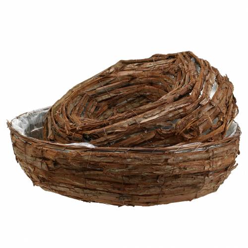 Floristik24 Tigela de planta natural casca anel de planta Ø50/43cm conjunto de 2