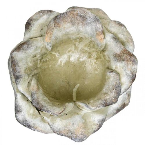 Floristik24 Rosa concreto, decoração de jardim, rosa vegetal, flores funerárias cinza, damasco, violeta Ø12cm C 26,5cm Alt.11cm