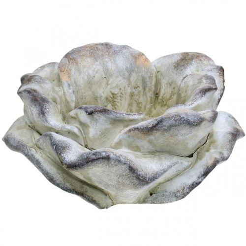 Floristik24 Rosa concreto, decoração de jardim, rosa vegetal, flores funerárias cinza, damasco, violeta Ø12cm C 26,5cm Alt.11cm