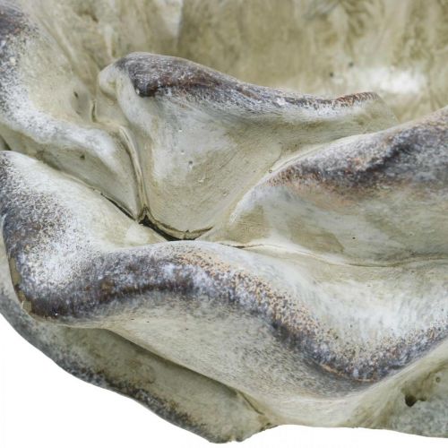 Floristik24 Rosa concreto, decoração de jardim, rosa vegetal, flores funerárias cinza, damasco, violeta Ø12cm C 26,5cm Alt.11cm