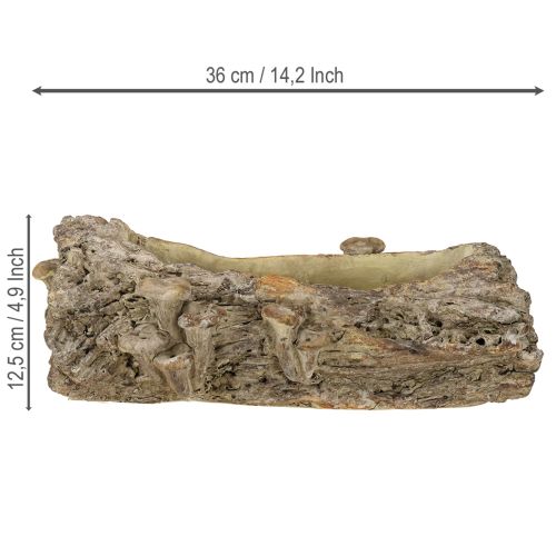 Itens Vaso de tronco de árvore em pedra fundida com cogumelos 36×18×12,5cm