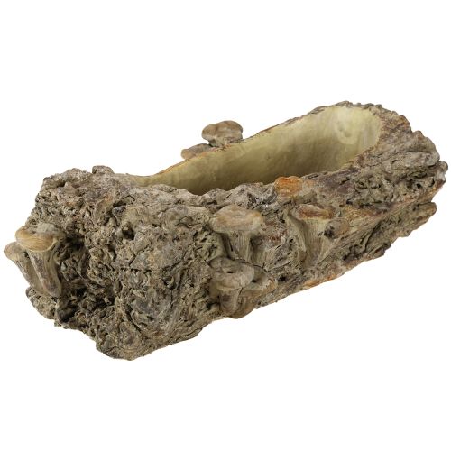 Itens Vaso de tronco de árvore em pedra fundida com cogumelos 36×18×12,5cm