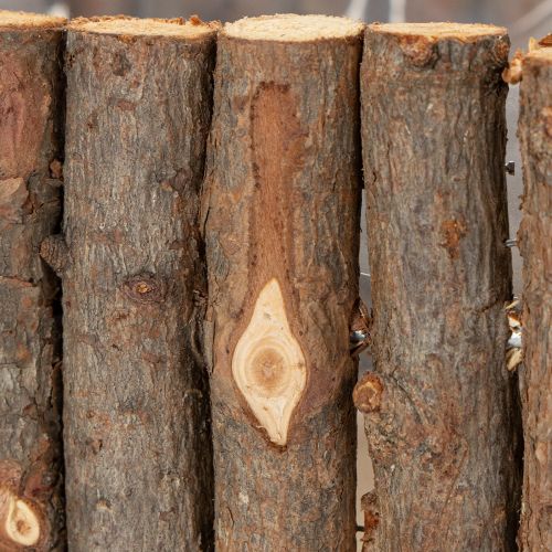 Itens Vaso de plantas quadrado ramos de bétula natural 14,5/20 cm conjunto de 2