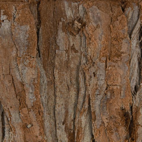 Itens Tigela para plantas oval casca natural 30,5×15cm / 24×11cm conjunto de 2