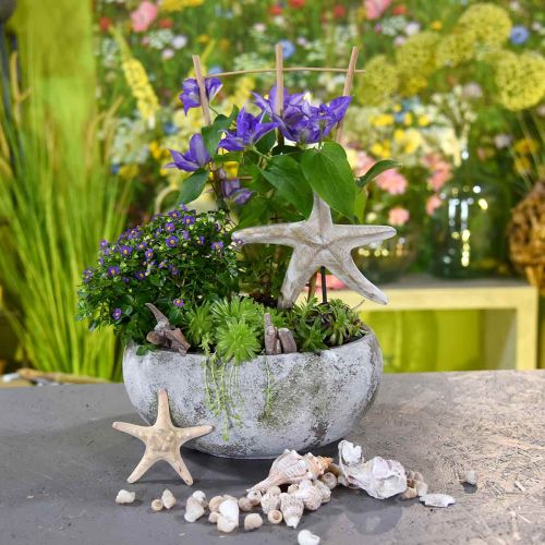 Floristik24 Tigela para plantas com aparência antiga tigela de flores pátina Ø32cm Alt.14cm