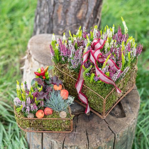 Floristik24 Tigela para plantas cesta de malha de coração de metal ferrugem 20/24,5/30 conjunto de 3