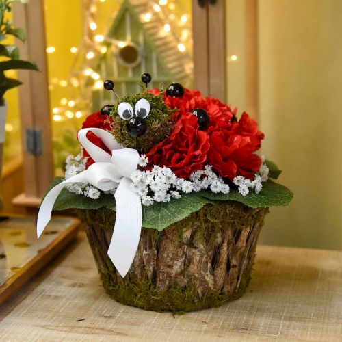 Floristik24 Planta tigela musgo/casca redonda Ø15/20cm conjunto de 2