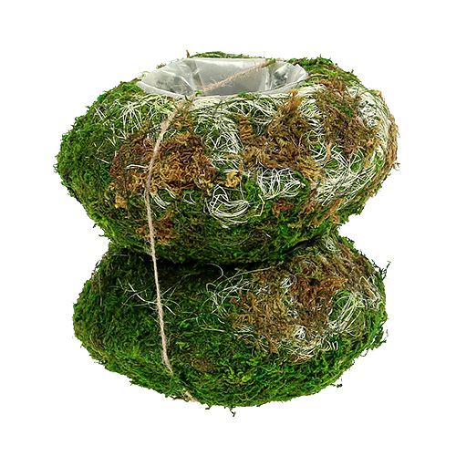Floristik24 Tigela de planta tigela de musgo Ø18cm 2pcs