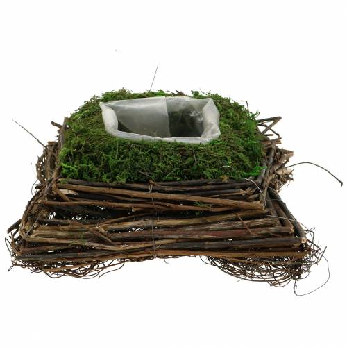 Itens Almofada de planta rattan, musgo 20cm x 20cm H8cm