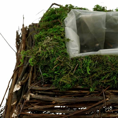 Itens Almofada de planta rattan, musgo 20cm x 20cm H8cm
