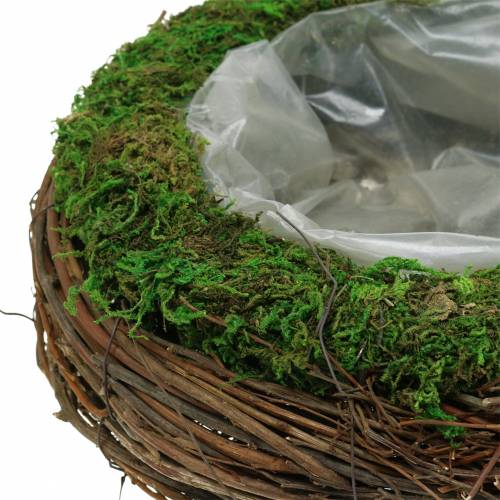 Floristik24 Tigela para plantas em vime, musgo Ø26cm H9cm