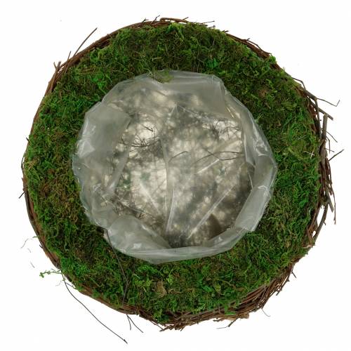 Floristik24 Tigela para plantas em vime, musgo Ø26cm H9cm