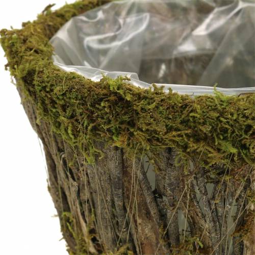 Floristik24 Planta tigela musgo/casca redonda Ø15/20cm conjunto de 2