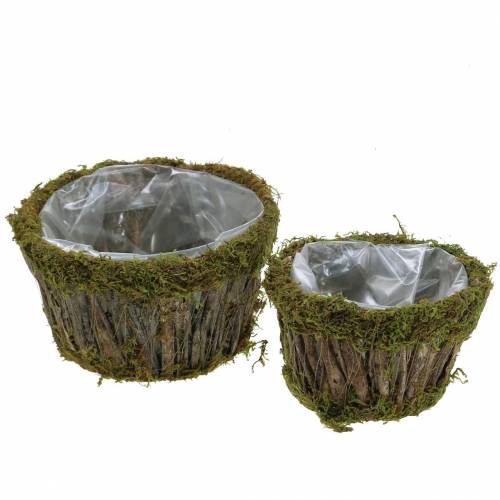 Floristik24 Planta tigela musgo/casca redonda Ø15/20cm conjunto de 2