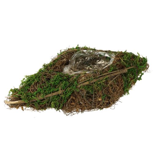 Vaso para plantio de trepadeiras e musgo 31×17×6cm