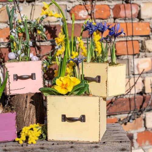 Floristik24 Gaveta para plantas caixa para plantas madeira amarela 12,5/16cm conjunto com 2