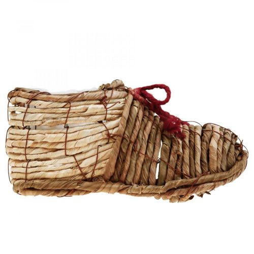Floristik24 Sapato de vaso para plantação de ervas marinhas 22,5×10×12cm