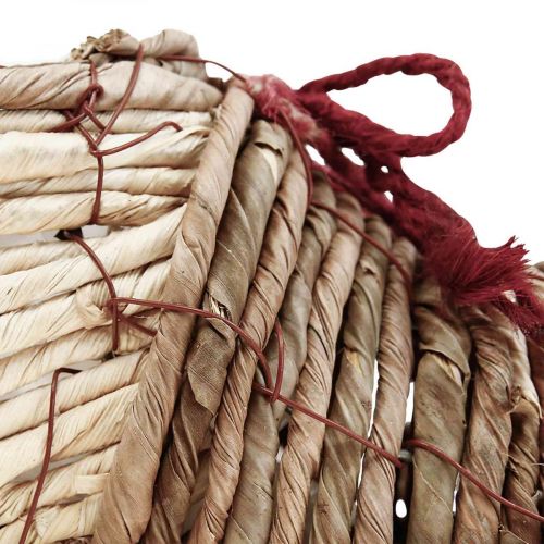 Floristik24 Sapato de vaso para plantação de ervas marinhas 22,5×10×12cm