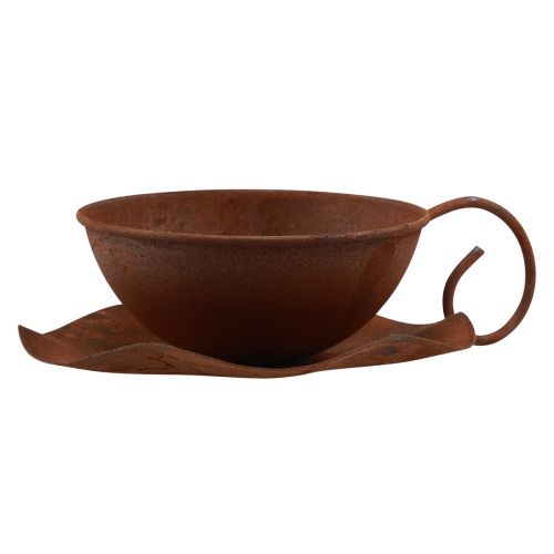 Floristik24 Copo para plantas com pires ferrugem vintage Ø17,5cm Alt.6cm