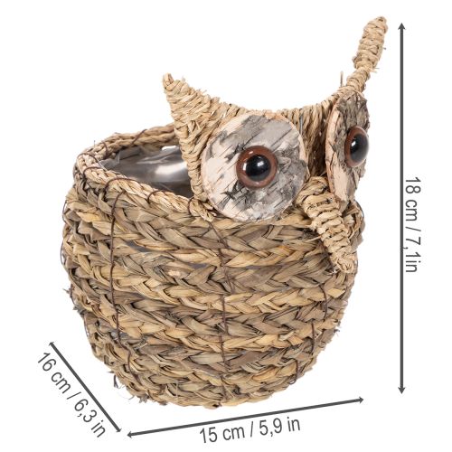 Cesta de coruja trançada à mão para decoração de peitoril de janela, 18 cm | Floristik24.pt