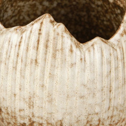 Itens Vaso de Cerâmica Ovo Quebrado Creme Marrom Ø9,5cm 3 Unidades
