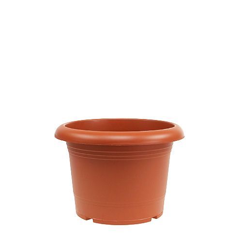 Floristik24 Vaso "Oliver" terracota Ø15cm