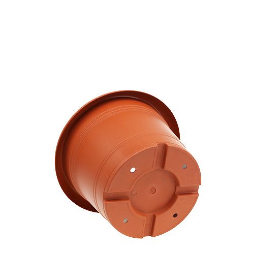 Floristik24 Vaso "Oliver" terracota Ø15cm