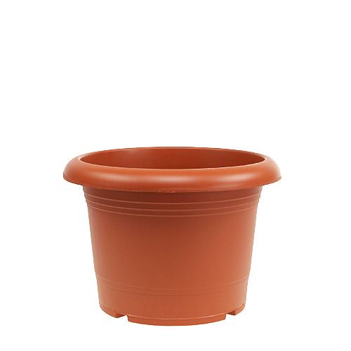 Floristik24 Vaso para plantas "Oliver" terracota Ø18cm, 1p