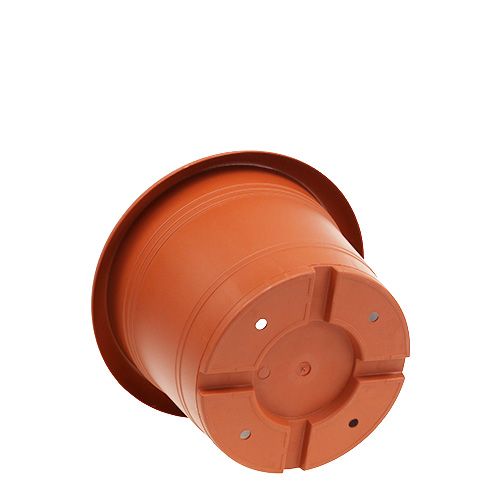 Floristik24 Vaso para plantas "Oliver" terracota Ø18cm, 1p
