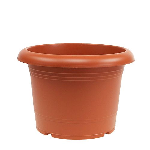 Floristik24 Vaso “Oliver” terracota Ø30cm