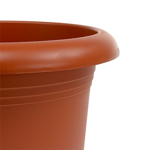Floristik24 Vaso “Oliver” terracota Ø30cm