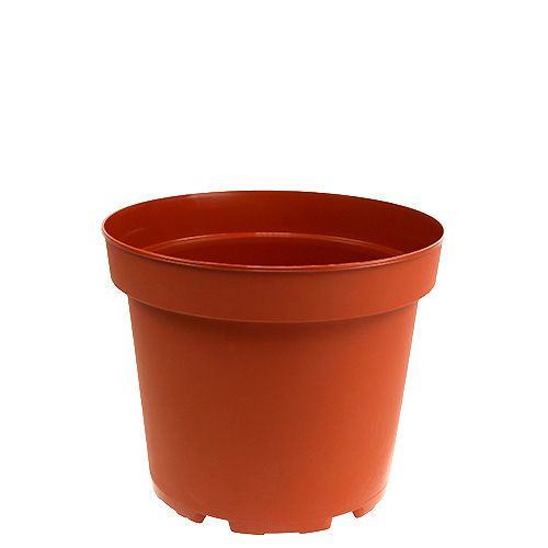 Floristik24 Vaso para plantas vaso interno de plástico Ø10,5 cm 10 unidades