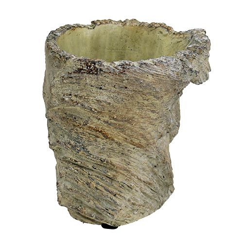 Floristik24 Vaso para plantas, tronco de árvore Ø11,5cm Alt.14cm 2 unidades