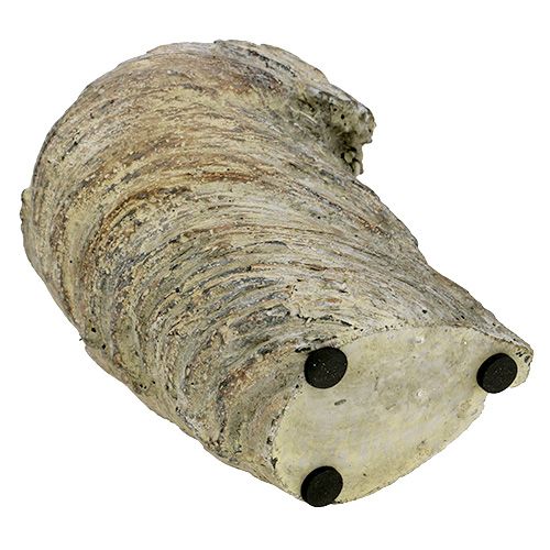 Floristik24 Vaso para plantas, tronco de árvore Ø11,5cm Alt.14cm 2 unidades