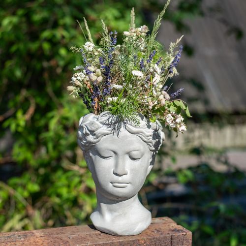 Floristik24 Busto de vaso de planta com cabeça de planta caiada de concreto Ø10cm Alt.21cm