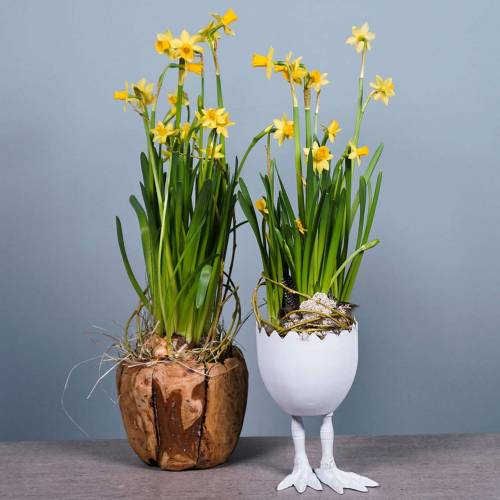 Floristik24 Vaso de casca de ovo com pernas Ø13cm Alt.21cm branco