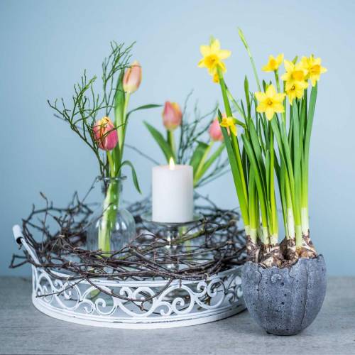 Floristik24 Pote para plantas Casca de ovo Ø12cm Alt.11.5cm 6pcs